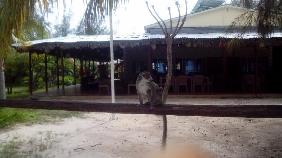 Royal Sakalava Restaurant