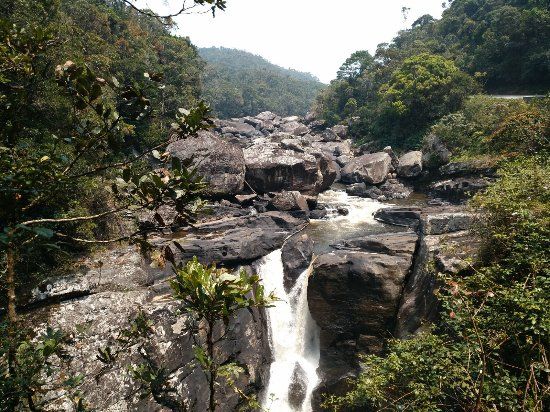 Ranomafana National Park