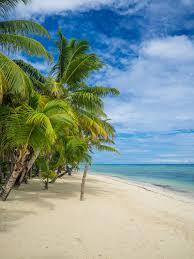 Ile aux Nattes