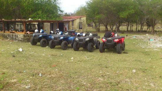 Diego Raid Day Tours