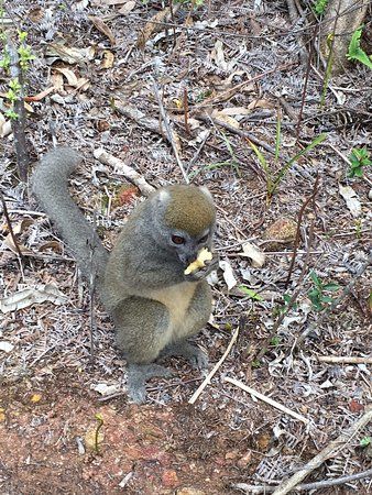 Nosy Soa Park